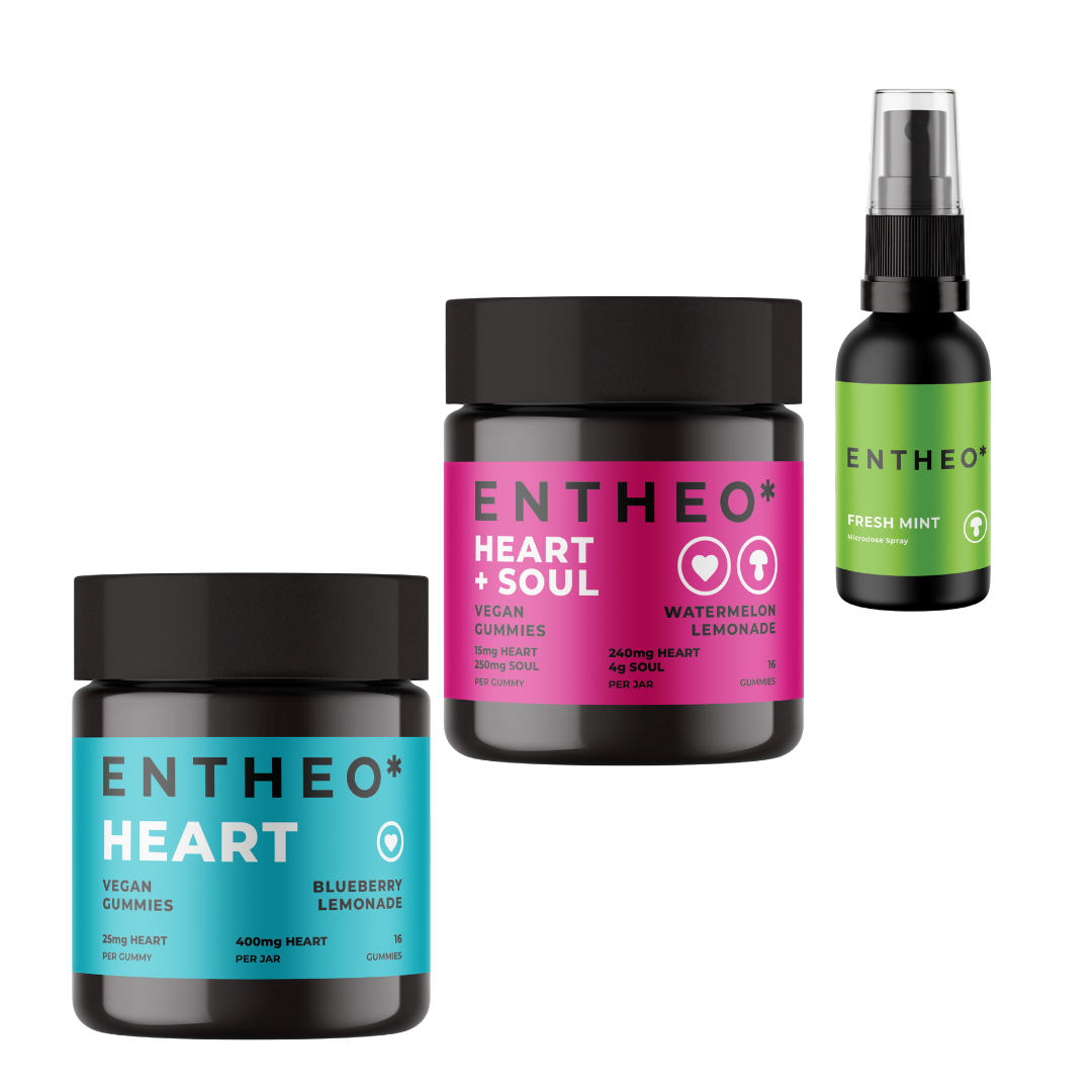 Fan Favorites Bundle - SALE